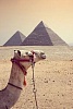 Отдых в Египте - #ТурыТуриста